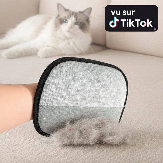Gant Anti-Poils Double Face pour Animaux – Un Intérieur Propre Sans Effort