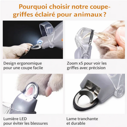 Coupe-Griffes LED pour Chien et Chat – Une Coupe Précise et Sans Stress